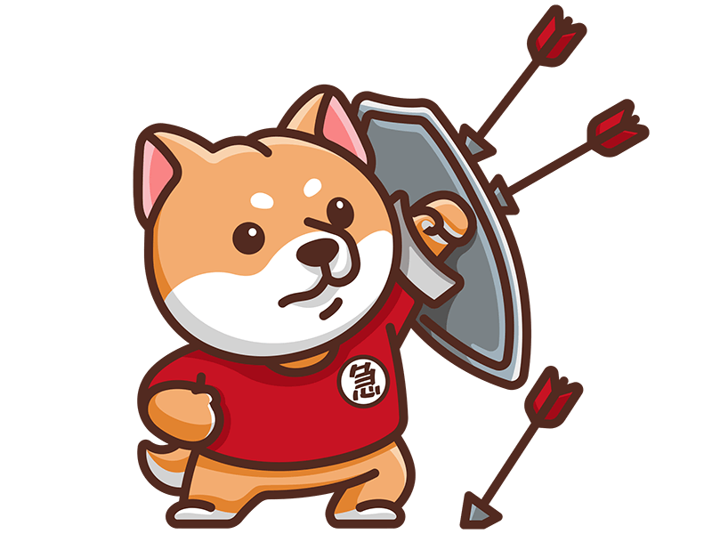 数据传输保护插图